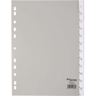 Register A4 12-teilig blanko